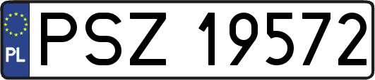 PSZ19572