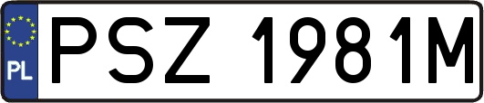 PSZ1981M