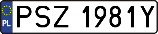 PSZ1981Y