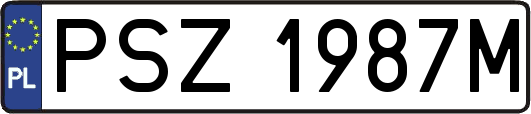PSZ1987M