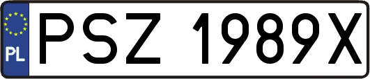 PSZ1989X