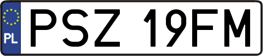 PSZ19FM