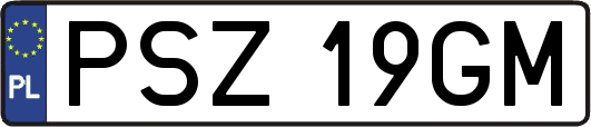 PSZ19GM