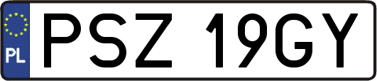 PSZ19GY