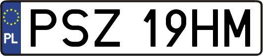 PSZ19HM