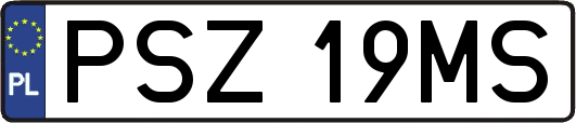 PSZ19MS
