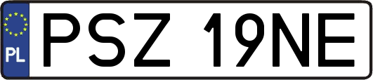 PSZ19NE