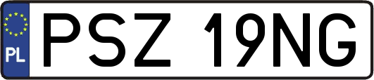 PSZ19NG