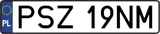 PSZ19NM