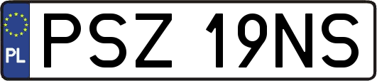 PSZ19NS