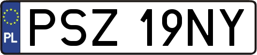PSZ19NY