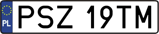 PSZ19TM