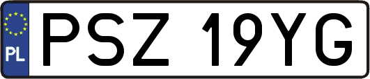 PSZ19YG