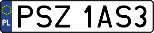 PSZ1AS3