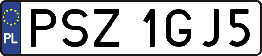 PSZ1GJ5
