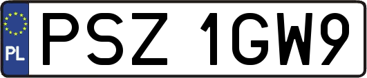 PSZ1GW9