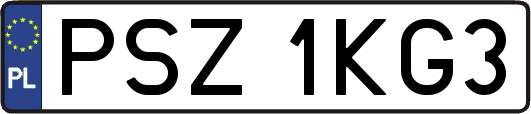 PSZ1KG3