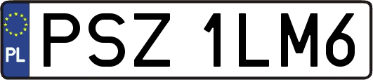 PSZ1LM6