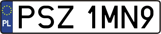 PSZ1MN9