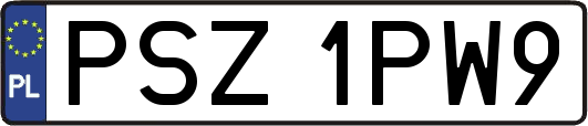 PSZ1PW9