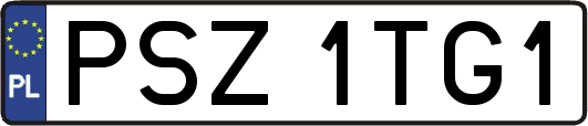 PSZ1TG1
