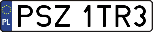 PSZ1TR3