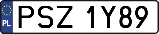 PSZ1Y89