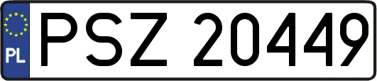 PSZ20449