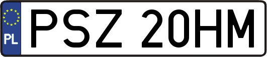 PSZ20HM
