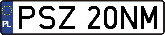 PSZ20NM
