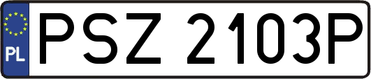PSZ2103P