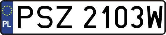 PSZ2103W