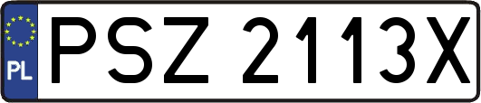 PSZ2113X