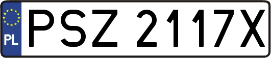 PSZ2117X
