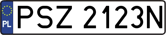 PSZ2123N