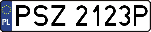 PSZ2123P