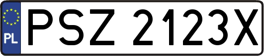 PSZ2123X