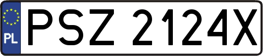 PSZ2124X