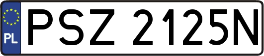 PSZ2125N