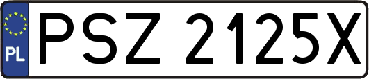 PSZ2125X