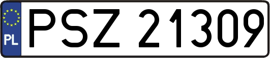 PSZ21309