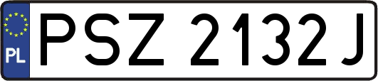 PSZ2132J