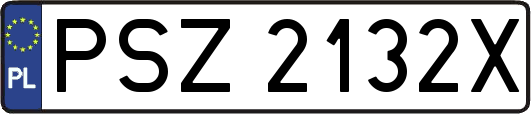 PSZ2132X