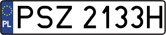 PSZ2133H