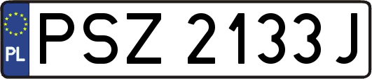 PSZ2133J