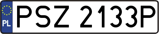PSZ2133P