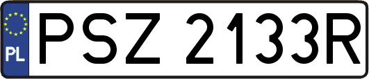 PSZ2133R