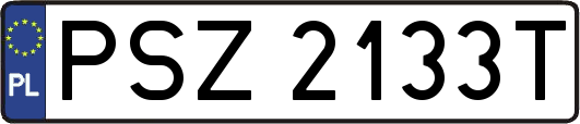 PSZ2133T