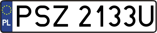 PSZ2133U