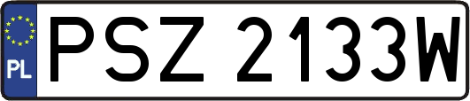 PSZ2133W